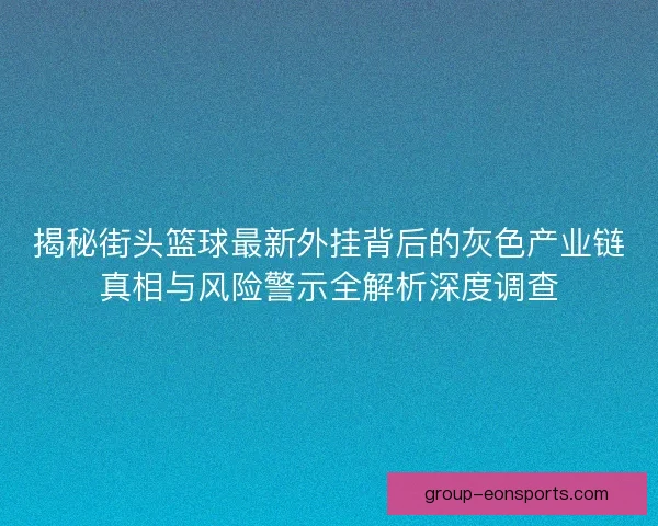 揭秘街头篮球最新外挂背后的灰色产业链真相与风险警示全解析深度调查